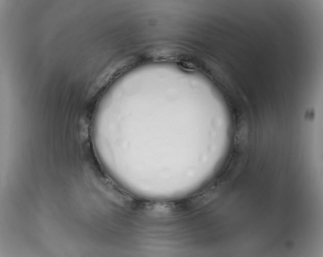 X0000114030282200910231906