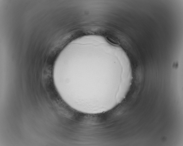 X0000114030284200910231906