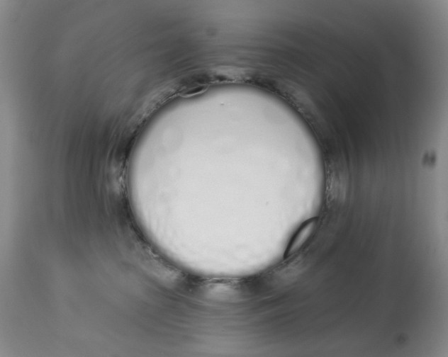 X0000114030285200910231906