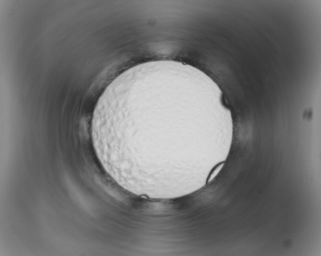 X0000114030286200910231906