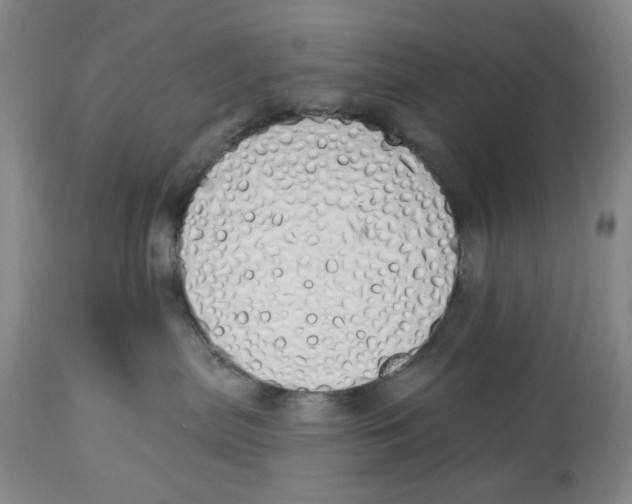 X0000114030287200910231906