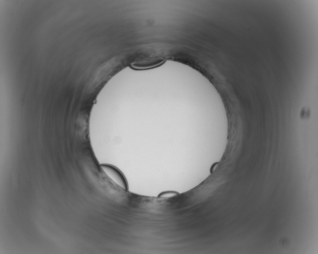 X0000114030288200910231906