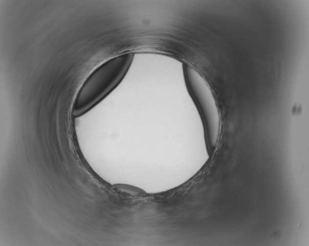 X0000114030289200910231905