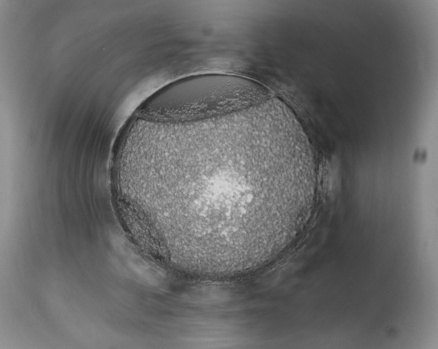 X0000114030292200910231905