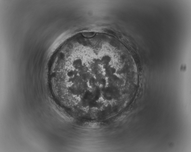 X0000114030295200910231905