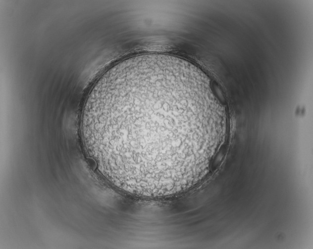 X0000114030297200910231905