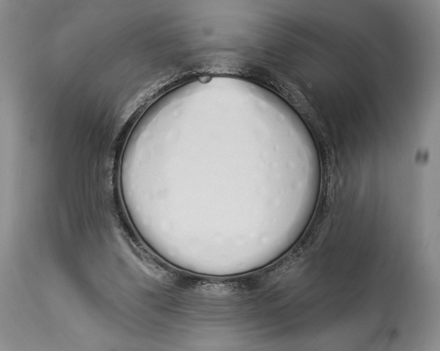 X0000114030299200910231905