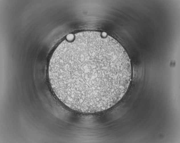 X0000114030301200910231905