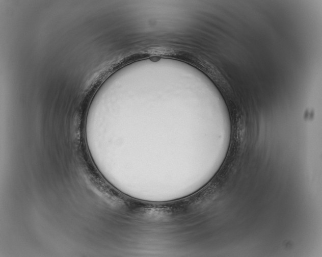 X0000114030303200910231905