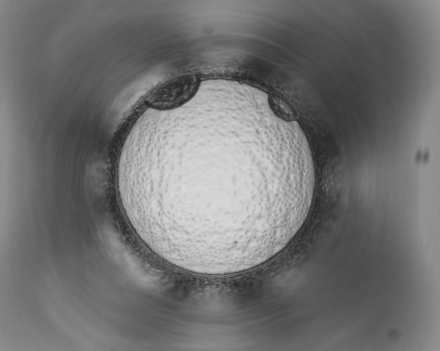 X0000114030304200910231905