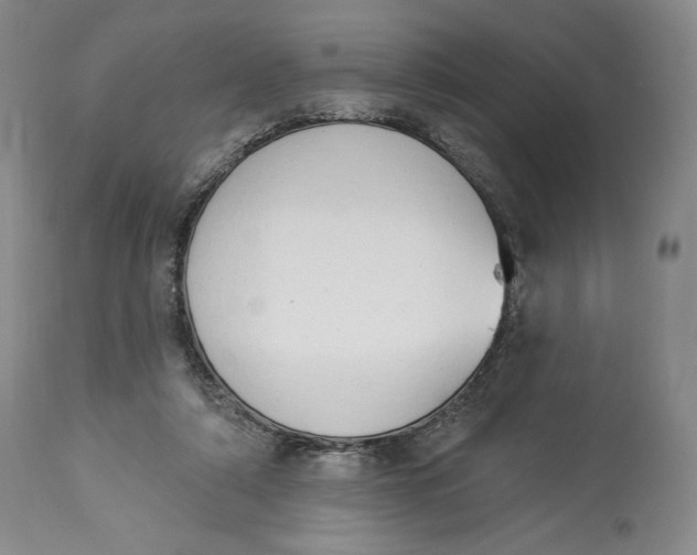 X0000114030306200910231905