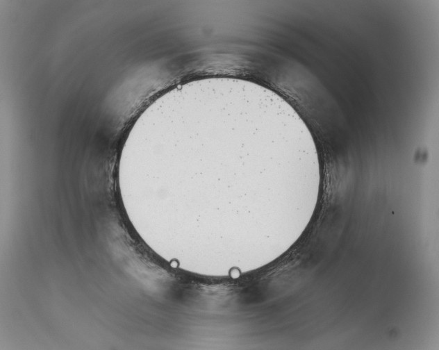 X0000114030309200910231905