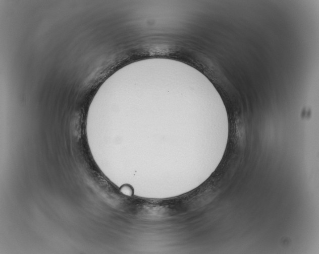 X0000114030311200910231905