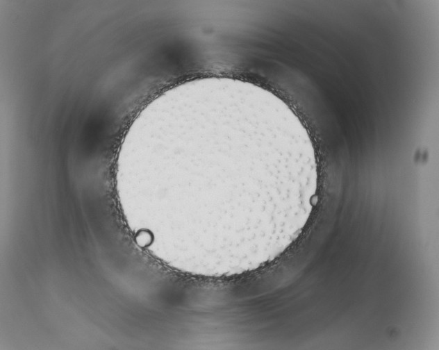 X0000114030313200910231905