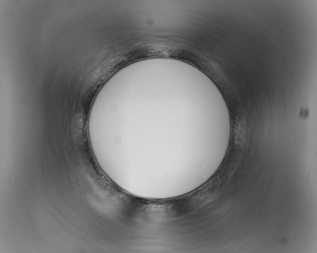 X0000114030314200910231905