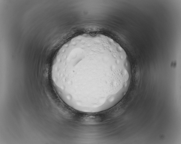 X0000114030315200910231905