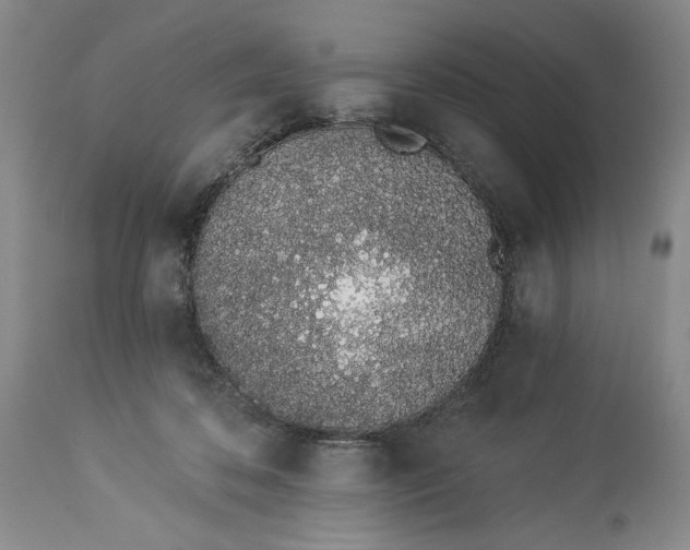 X0000114030316200910231905