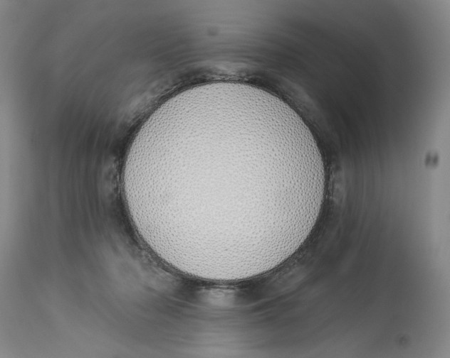 X0000114030318200910231905