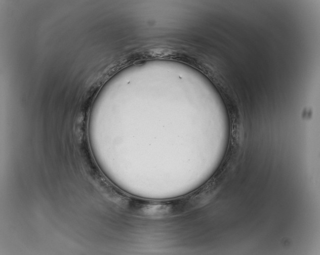 X0000114030319200910231905