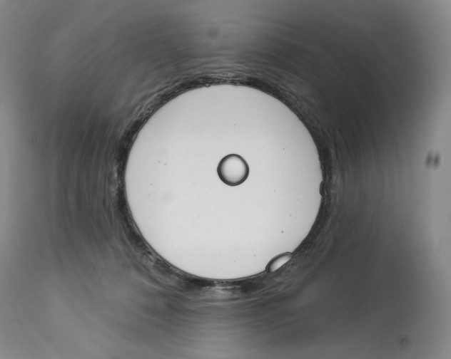 X0000114030320200910231905