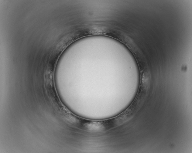 X0000114030322200910231904