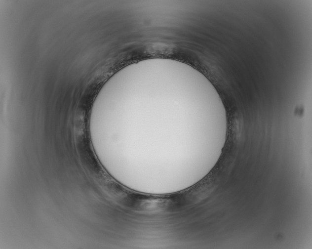 X0000114030323200910231904