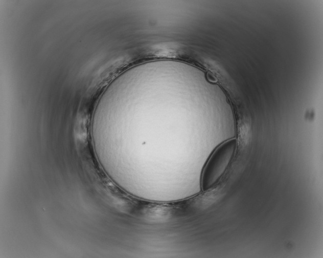 X0000114030325200910231904