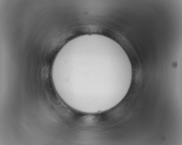 X0000114030326200910231904