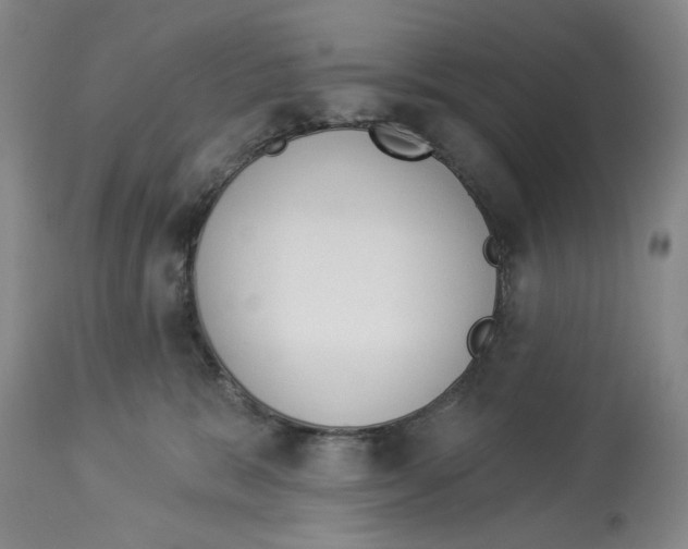 X0000114030327200910231904