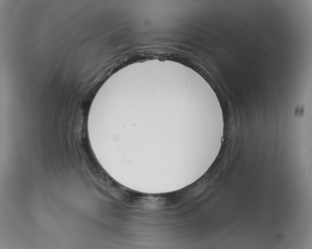 X0000114030328200910231904