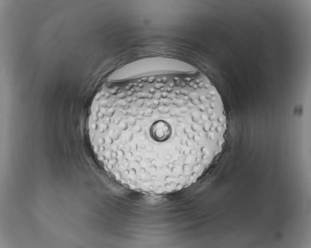 X0000114030333200910231904