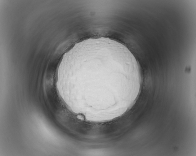 X0000114030334200910231904