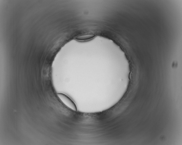 X0000114030336200910231904