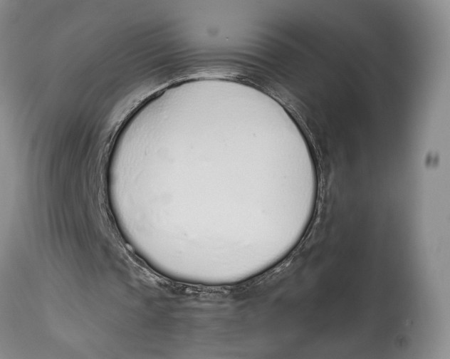 X0000114030337200910231904