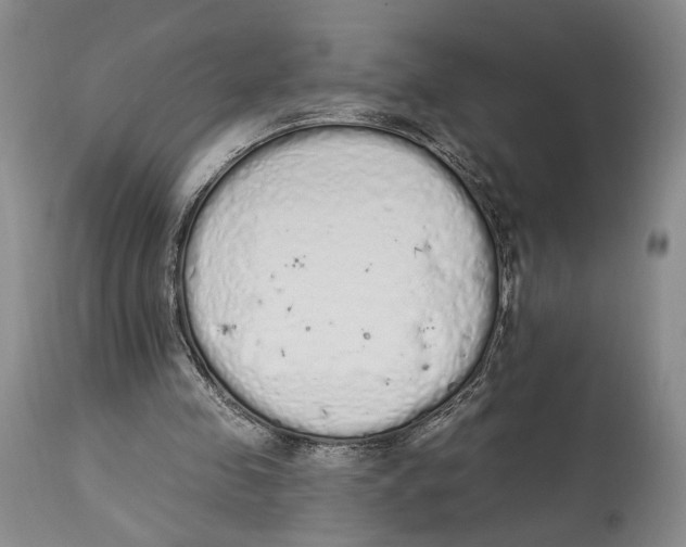 X0000114030341200910231904