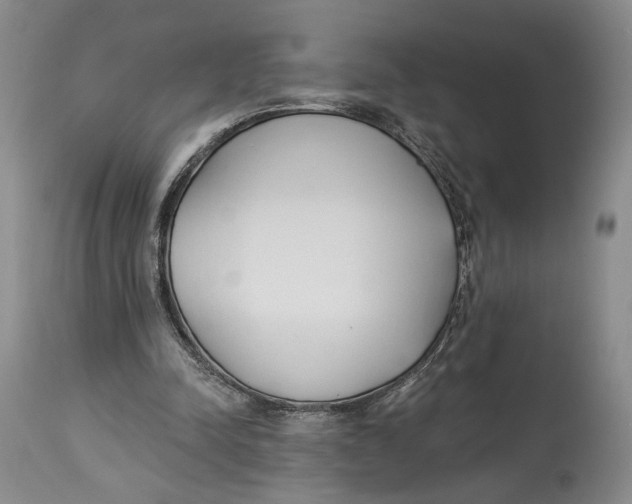 X0000114030342200910231904