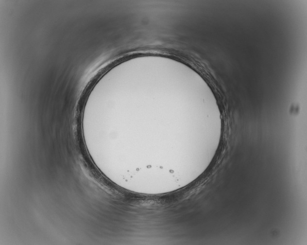 X0000114030344200910231904