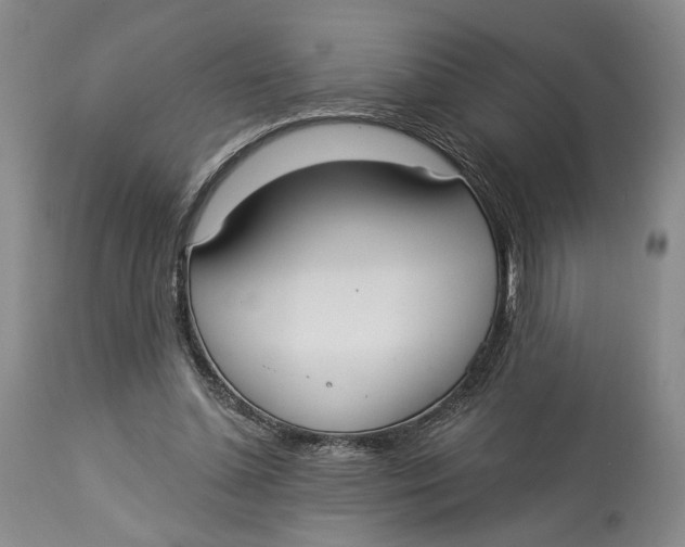 X0000114030348200910231904