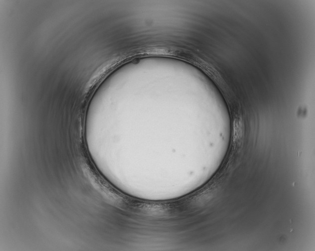 X0000114030349200910231904