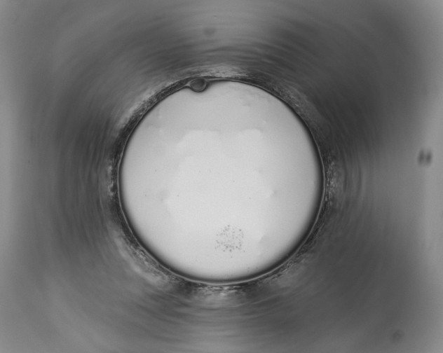 X0000114030351200910231904