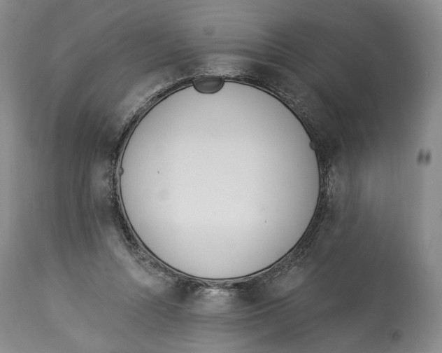 X0000114030352200910231904