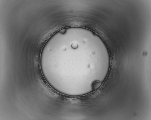 X0000114030353200910231904