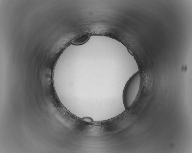 X0000114030356200910231904