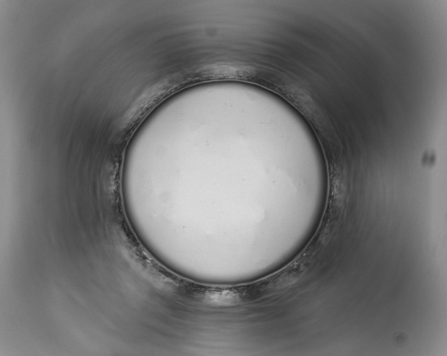 X0000114030357200910231904