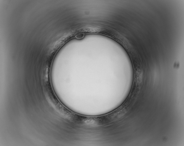 X0000114030358200910231904