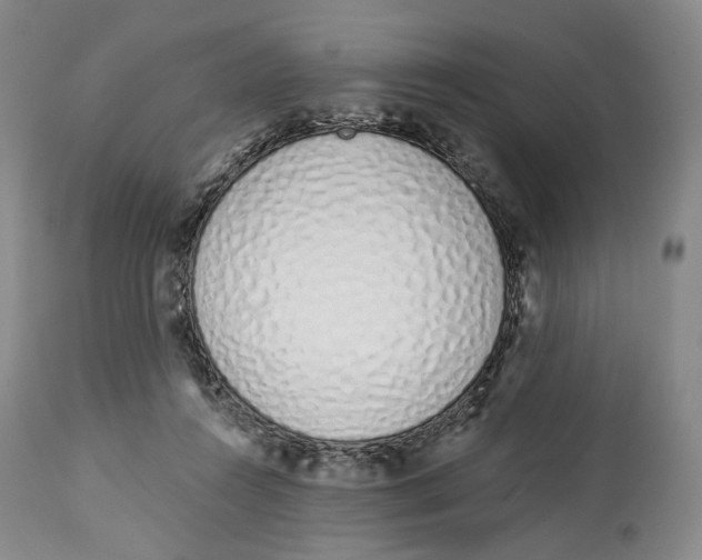 X0000114030360200910231904