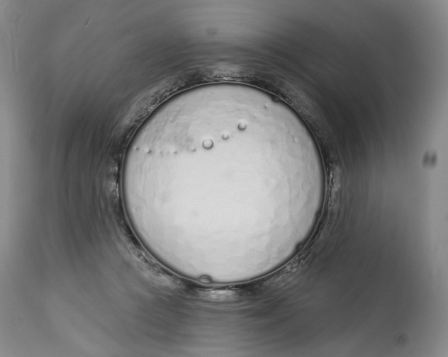 X0000114030361200910231904