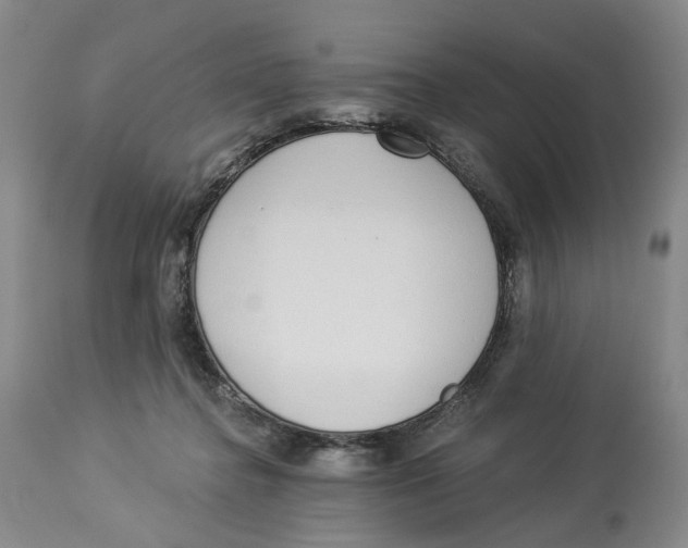 X0000114030364200910231904