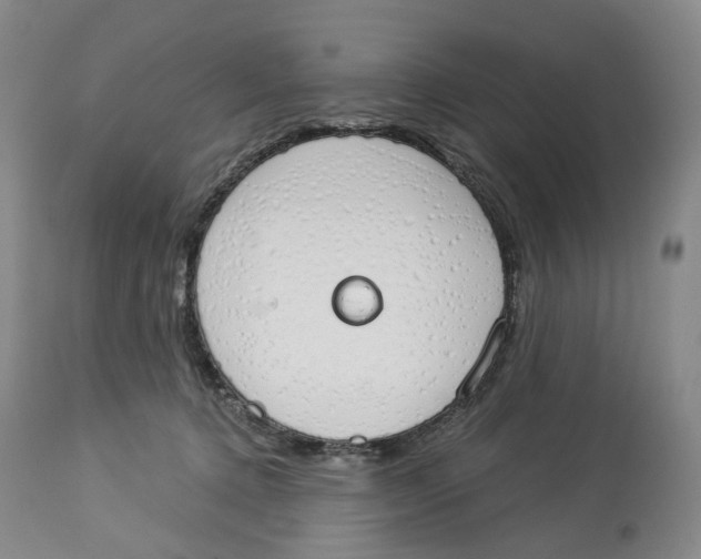 X0000114030368200910231904