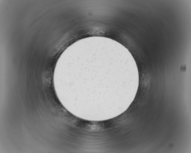 X0000114030370200910231904